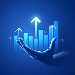 Implementation & Execution